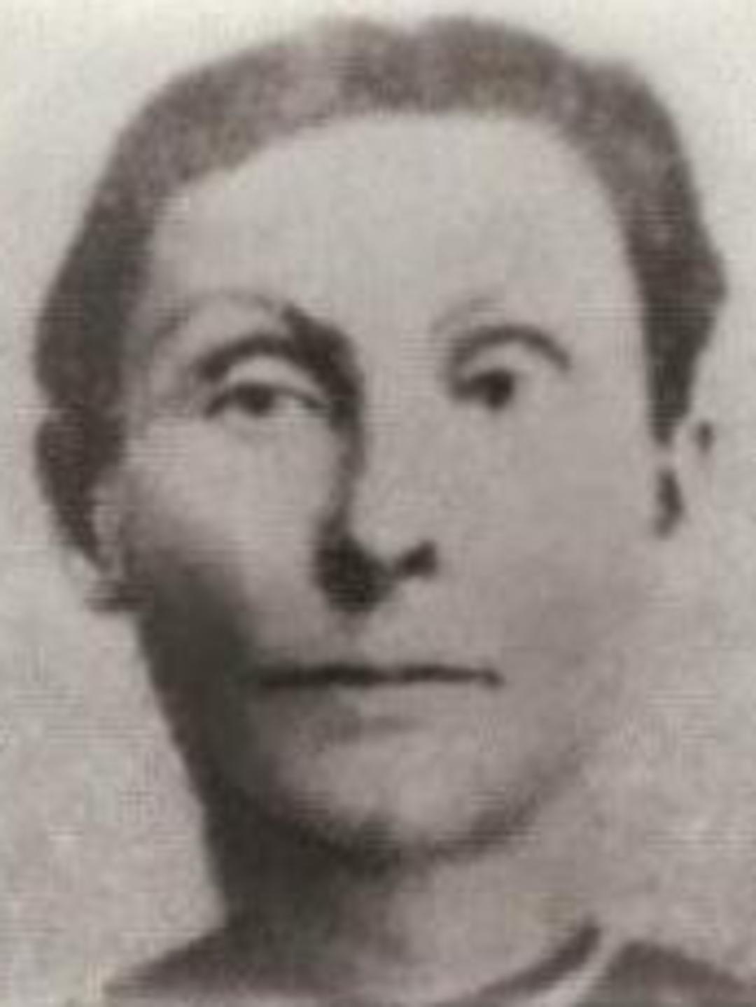 Sarah Ann Bean (1828 - 1882) Profile